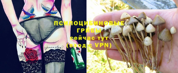 меф Алексин