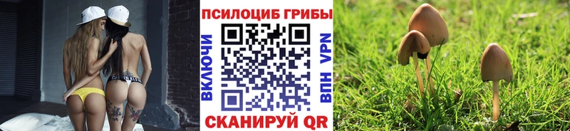 Псилоцибиновые грибы мицелий  Лебедянь 