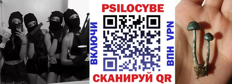 Псилоцибиновые грибы Psilocybine cubensis Лебедянь