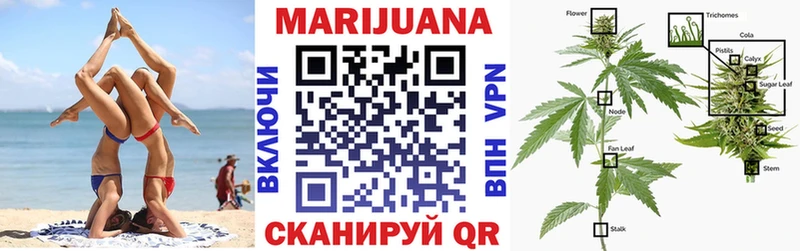 купить наркотики цена  Лебедянь  OMG ONION  Шишки марихуана SATIVA & INDICA 